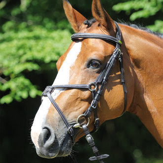 Collier de chasse beige HFI taille COB